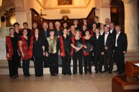 /album/koncert-vieste-12-9-2010/snimek-272-jpg/